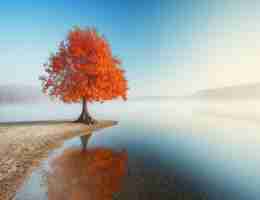 专‌业﻿CDN节‌点﻿系​统‍